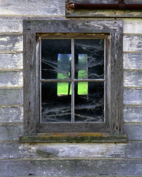 OR, Willamette Valley Old barn window